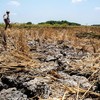 Hiện tượng El Nino có thể mạnh lên vào những tháng tới