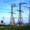 Sau vụ Chủ tịch bị khởi tố, PECC2 trình cổ đông kiện toàn HĐQT