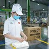 An Phát Holdings (APH) muốn mua thêm 6 triệu cổ phiếu Nhựa An Phát Xanh (AAA)