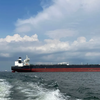 IEA: Nhu cầu dầu mỏ toàn cầu dự kiến ​​giảm lần đầu tiên kể từ năm 2020