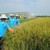 Lộc Trời (LTG) lên tiếng việc chưa tổ chức Đại hội đồng cổ đông thường niên năm 2026