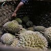 Nhập khẩu sầu riêng của Trung Quốc tăng vọt trong nửa đầu năm