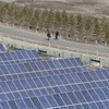 Mỹ áp thuế 15% và mức giá sàn với polysilicon nhập khẩu