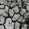 Hiện tượng El Nino có thể gây cú sốc mới cho thị trường hàng hóa