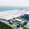 Amy Grupo: Câu chuyện IPO giữa áp lực tài chính và cuộc đua công suất