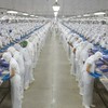Doanh thu Vĩnh Hoàn (VHC) giảm 10% trong tháng 7/2026