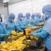 Rau quả Thực phẩm An Giang (ANT) muốn huy động 200 tỷ đồng từ cổ đông để trả nợ vay ngân hàng