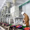 Hoá chất Đức Giang (DGC): Kiểm toán đưa ra ý kiến ngoại trừ trên Báo cáo kiểm toán bán niên năm 2026