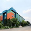 Gỗ Trường Thành (TTF) xin gia hạn nộp báo cáo tài chính kiểm toán bán niên năm 2026