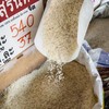 Lo ngại nguồn cung đẩy giá ngô và lúa mì lên cao nhất hơn 3 năm