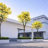 Lãi ròng của Amy Grupo đi lùi trong nửa đầu năm 2026 trước thềm IPO