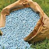 Thị trường phân bón toàn cầu tránh được cú sốc nguồn cung