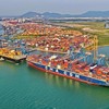Gemadept (GMD) sắp thưởng cổ phiếu tỷ lệ 50%