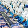 Vĩnh Hoàn (VHC) thông qua công ty con góp 13,26 tỷ đồng thành lập pháp nhân mới