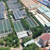 BIWASE (BWE) phát hành thành công toàn bộ hơn 31,4 triệu cổ phiếu huy động 1.162,5 tỷ đồng