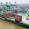 Viconship (VSC) muốn vay 2.200 tỷ đồng từ bốn công ty con