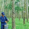 Cao su Đồng Phú (DPR) sắp miễn nhiệm Chủ tịch Mai Huỳnh Nhật