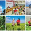 Tăng vốn điều lệ: Đòn bẩy để Agribank tiếp tục dẫn dắt dòng vốn cho nền kinh tế