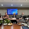 Các chuyên gia ADB tại buổi gặp gỡ trao đổi với phóng viên về Báo cáo ADO