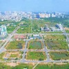 Xử lý vi phạm đất đai trước năm 2024: Chính phủ chỉ đạo rà soát pháp luật