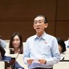 Đại biểu Trần Hoàng Ngân (TP Hồ Chí Minh) phát biểu tại hội trường Quốc hội sáng 31/10.