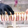 Giá vàng hôm nay ngày 16/6: Giá vàng đi ngang