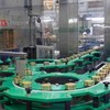 Nestlé Việt Nam tăng cường năng lực sản xuất cà phê chất xuất khẩu