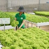 Miễn, giảm thuế có phải là giải pháp tối ưu để doanh nghiệp lớn lên?