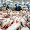Xuất khẩu cá tra và bài toán đa dạng hóa thị trường