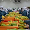 Kỳ tích của doanh nghiệp xuất khẩu rau quả 