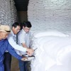 Lãnh đạo Chi cục Dự trữ Nhà nước khu vực II trực tiếp kiểm tra chất lượng gạo nhập kho dự trữ quốc gia năm 2025. Ảnh: Đức Minh