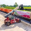 Một đoàn tàu liên vận quốc tế chở nông sản xuất khẩu của Tổng công ty Đường sắt Việt Nam 