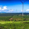 32 dự án điện gió sắp được tỉnh Gia Lai đưa ra đấu thầu lựa chọn nhà đầu tư chủ yếu tại các xã tại khu vực phía Tây. Ảnh minh họa. 