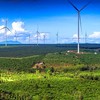 Gia Lai sắp đấu thầu 8 dự án điện gió, 4 dự án điện mặt trời 