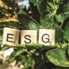 ESG - yếu tố thúc đẩy mang tính chiến lược
