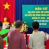 Cử tri cả nước đã bầu đủ 500 đại biểu Quốc hội khóa XVI.