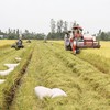 Ðồng Tháp hướng đến nền nông nghiệp sinh thái xanh bền vững 