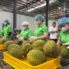 Nông sản Việt tăng tốc “nâng chuẩn” để đáp ứng quy định mới của Trung Quốc 