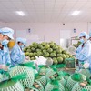 Các danh mục cắt giảm lần này là bước đi đáng ghi nhận vì đã chạm đến nhiều vướng mắc, mà doanh nghiệp thường gặp