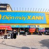 Vị thế dẫn đầu thị trường và năng lực vận hành thực tế là nền tảng giúp Điện Máy Xanh trở thành "siêu phẩm" IPO được giới đầu tư săn đón
