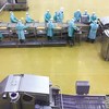 Sản xuất trong nhà máy của C.P. Group tại Việt Nam. Ảnh: Lê Toàn
