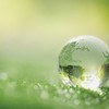 Quỹ đầu tư xanh quốc gia: Đầu kéo vốn cho chuyển đổi xanh