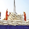 Xuất khẩu gạo tiếp tục là một trong những điểm sáng của thương mại nội khối, phản ánh dư địa mở rộng hợp tác đầu tư và liên kết chuỗi giá trị giữa Việt Nam với các đối tác ASEAN. Ảnh: Đức Thanh