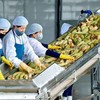 Xuất khẩu nông lâm thủy sản vượt 30 tỷ USD sau 5 tháng 