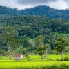 Xúc tiến đầu tư nhiều điểm du lịch mới, hấp dẫn tại tỉnh Gia Lai 