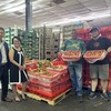 Hơn 2 tấn vải thiều tươi của Việt Nam vừa được xuất khẩu thành công sang Houston, Mỹ. 