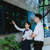 Thị trường chưa xuất hiện dòng tiền mới đủ mạnh để tạo nên xu hướng tăng bền vững