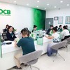 Tăng trưởng tín dụng bền vững, cải thiện thu nhập ngoài lãi và kiểm soát chi phí hiệu quả đang tạo nền tảng cho OCB bước vào chu kỳ tăng trưởng mới