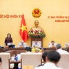 Phó Chủ tịch Quốc hội Nguyễn Thị Hồng điều hành phiên thảo luận.