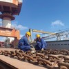 Công nhân Nhà máy đóng tàu Nam Triệu kiểm tra thép vỏ tàu trước khi đưa vào gia công 